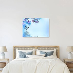 Üveg kép - Pillangó orchidea virágon, kék (70x50 cm)