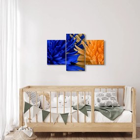 Részletes virágkép (90x60 cm)