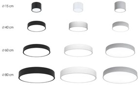 Immax NEO 07143-GR15BD- KÉSZLET 2x LED Mennyezeti lámpa RONDATE 12W/230V Tuya szürke + távirányító