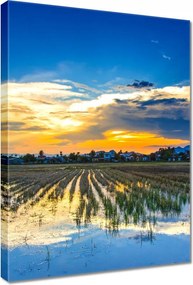 Vászonkép 50x70 Kilátás Tájkép