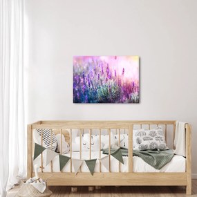 Kép - Levendula a csillogó napban (70x50 cm)