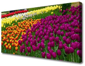 Vászonkép tulipán virágok 120x60 cm