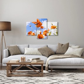 Pipacsok képe (90x60 cm)