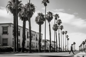 Poszter 45x30cm Séta a pálmafák árnyékában