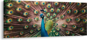 Kép - Páva (120x50 cm)
