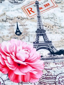 Fotótapéta Virágok Eiffel Vintage vinil térkép 184x254 +ragasztó