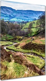 Vászonkép 80x120 Patak a hegyekben