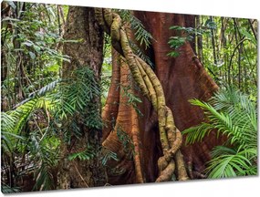 Festmények 120x80 Tájkép Látvány