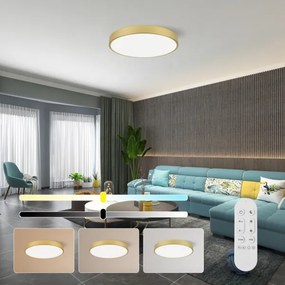 Immax NEO 07293L - LED+CCT dimmelhető mennyezeti lámpa SEMPLICI 60W/230V Ø 60 cm + távirányítóval