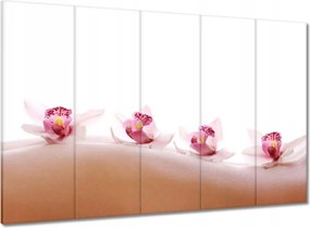 Képek 100x70 Pihenés a SPA-ban Orchideák