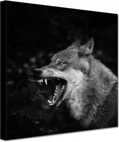 Vászonkép 60x60 Természet Emberség