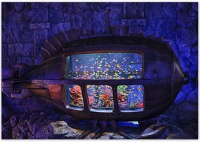 Poszterek 100x70 A halak víz alatti világa