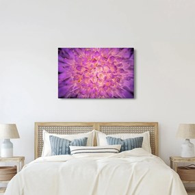 Részletes virágkép (90x60 cm)