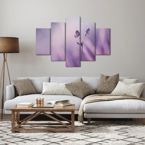 Kép - Lila pillangók (150x105 cm)