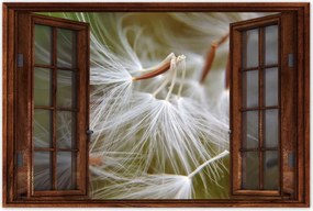 Poszterek 90x60 Pitypang Virág Virágok