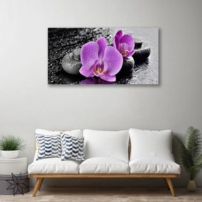 Vászonkép Orchidea virágok orchidea Spa 100x50 cm