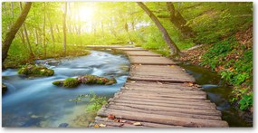 Fotótapéta üvegfalra Ösvény az erdőben 140x70