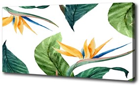 Fali vászonkép Trópusi virágok oc-73937119