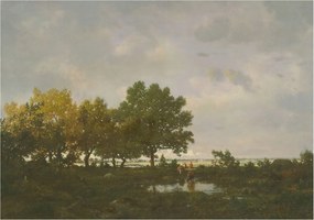 Flizelin fotótapéta Flizelin Designer Erdei tájkép 312x219 Ragasztó