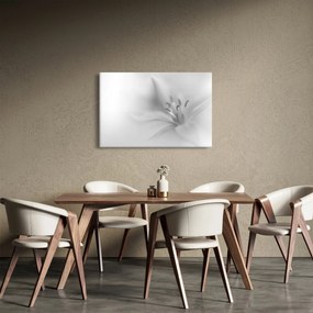 Kép - Delicate Lily (90x60 cm)