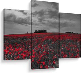 Pipacsos kép (90x60 cm)
