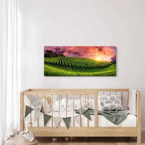 Szőlőskert és a színes égbolt képe (120x50 cm)