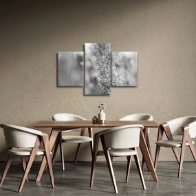 Kép - Boho pampafű (90x60 cm)