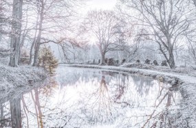 Poszter 91,5x60cm Csatorna fákkal, Assaf Frank