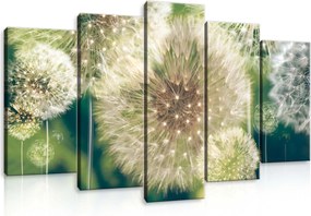 Vászonkép 100x60 Pitypang természet makro könnyedség nyugalom finomság