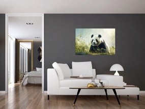 Kép - Panda (90x60 cm)