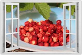 Poszterek 90x60 Erdei szintek