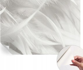 Modern öntapadós fotótapéta Mosható Finom tollak 152x104 cm