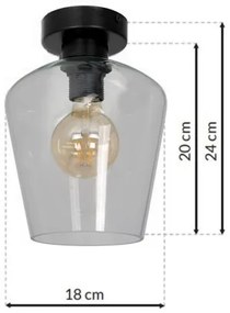Mennyezeti lámpa SANTIAGO 1xE27/60W/230V átlátszó