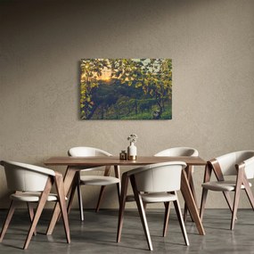 Kép - szőlőültetvény (90x60 cm)