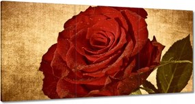 Festmények 180x90 Rózsa a háttérben szépia