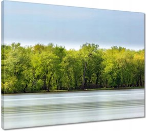 Vászonkép 50x40 Erdő Tó Ég