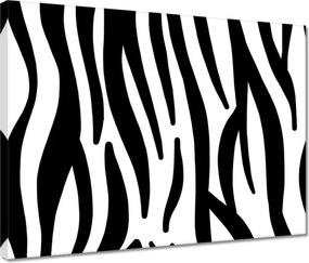 Vászonkép 40x30 Zebra csíkok