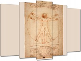 Vászonkép 70x50 A vitruviusi ember