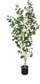 Pottery Pots Realisztikus műfa Ficus triangularis, több méretben - PotteryPots méret: XL - ø 80 cm | m. 240 cm