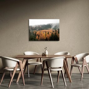 Kép - őszi erdő (üvegen) (70x50 cm)