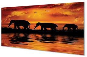 Üvegképek West Lake elefántok 125x50 cm