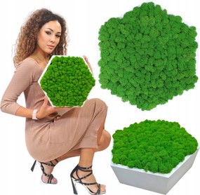 Moha Kép fa keretben Hexagon moha Élő Kép handmade