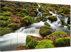 Vászonkép 100x70 Hegyi tájkép, árokpart