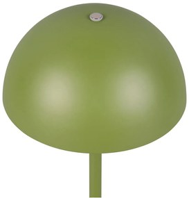 Zöld LED asztali lámpa fém búrával (magasság 21 cm) Munoz – Trio