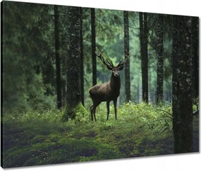Vászonkép 80x60 Gyönyörű szarvas a fák között