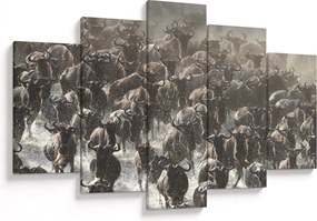 Kép - Gnúcsorda (150x105 cm)