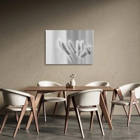 Üveg kép - Nyuszi farok fű (70x50 cm)
