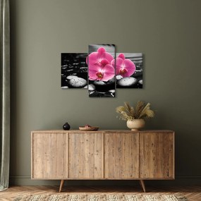 Kép - Rózsaszín orchideák (90x60 cm)