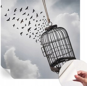 Öntapadós fali fotótapéta Hálószobába Repülő madarak 250x250 cm