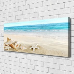 Vászonkép falra tengeri csillag kagyló 140x70 cm